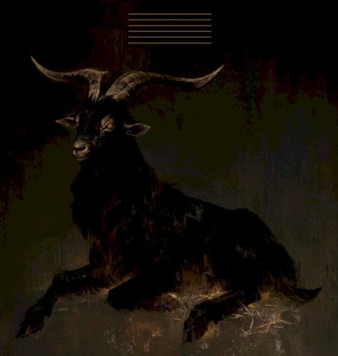 Black Goat