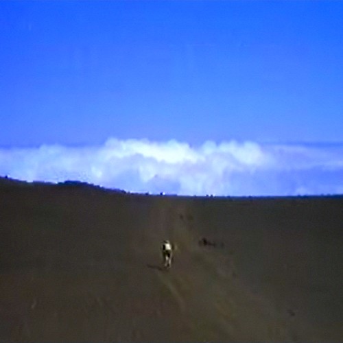Afterimage