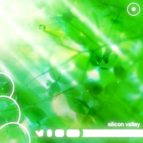 silicon valley
