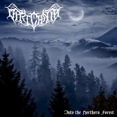 Into the Northern Forest