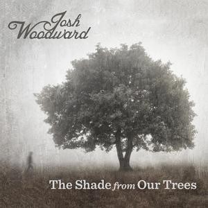 The Shade from Our Trees