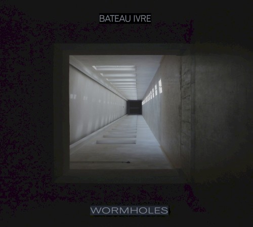Wormholes