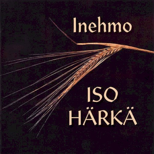 Iso härkä