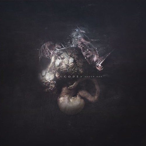 Augur Nox