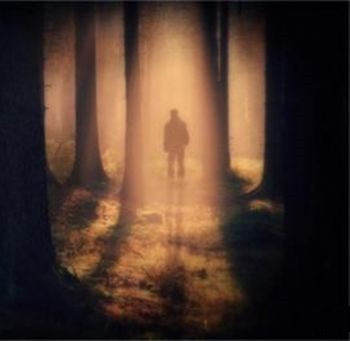 Twilight Shadows