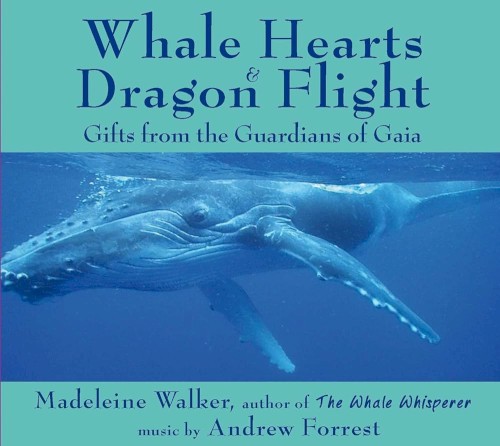 Whale Hearts & Dragon Flights