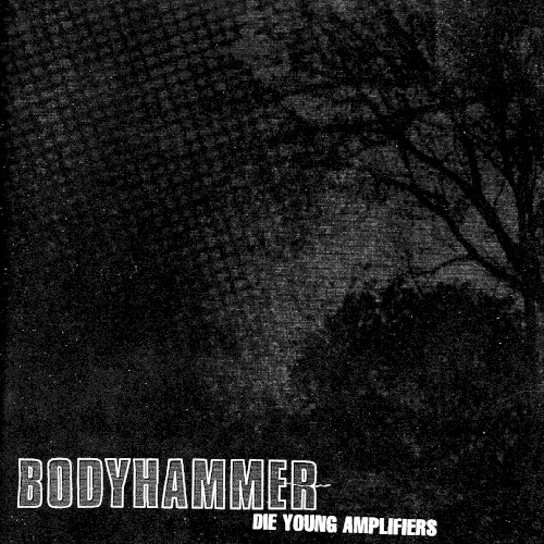 Die Young Amplifiers