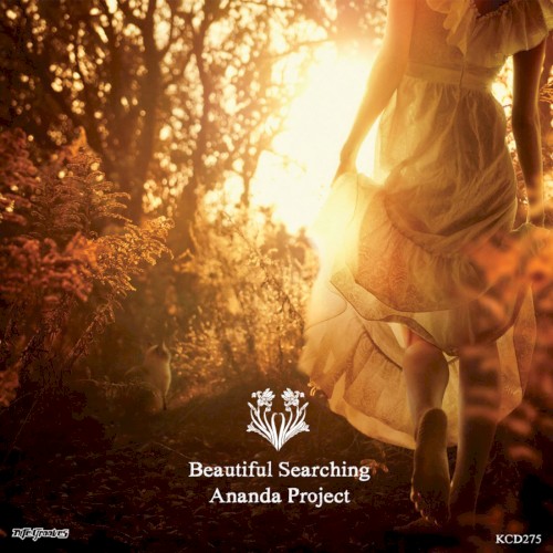 Beautiful Searching