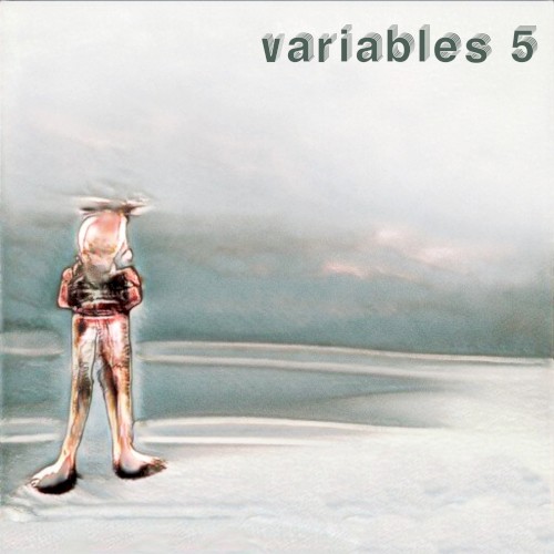 Variables 5