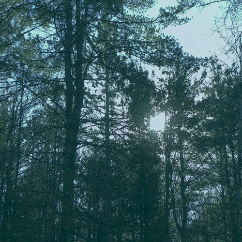 Vacant