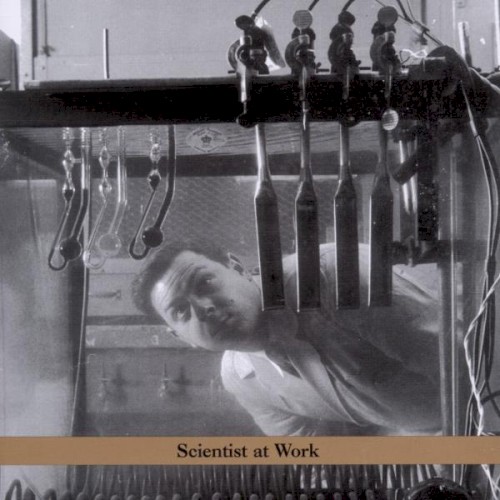 Scientist at Work