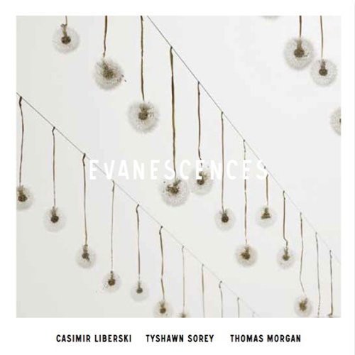Evanescences