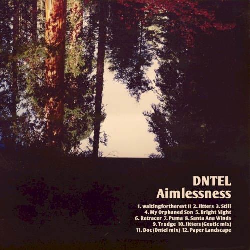 Aimlessness