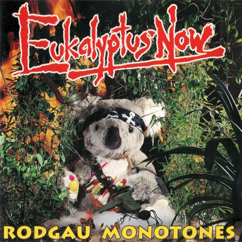 Eukalyptus Now