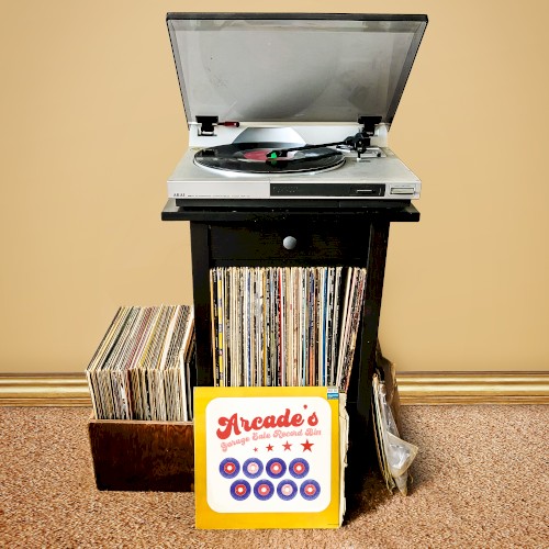 Arcade's Garage Sale Record Bin