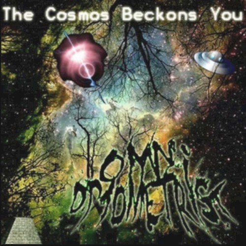 The Cosmos Beckons You
