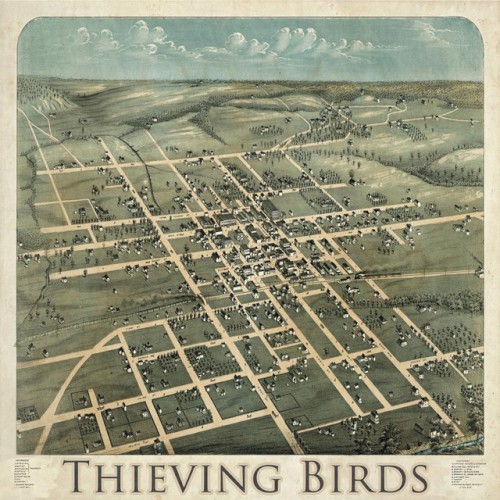 Thieving Birds