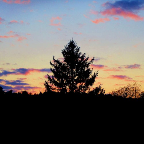 Painted Skies