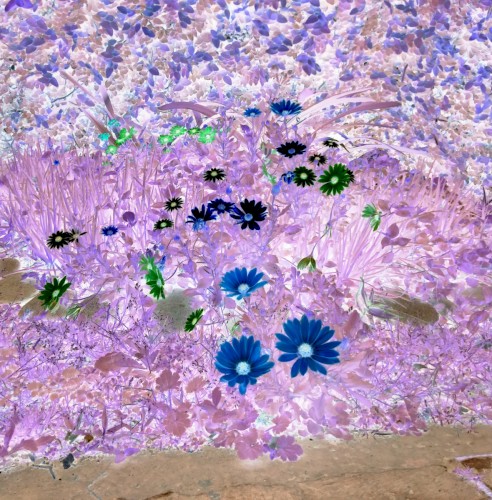 Messier 87