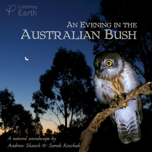 An Evening in the Australian Bush