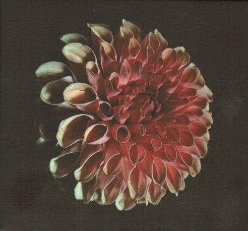 Unfolding