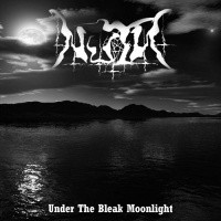 Under the Bleak Moonlight