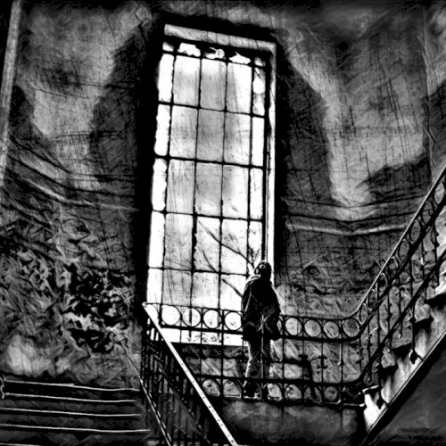 Shadows