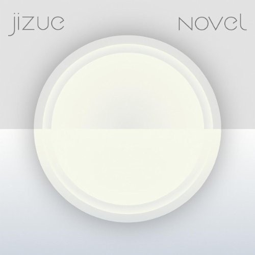 novel