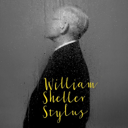 Stylus