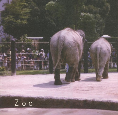 ZOO
