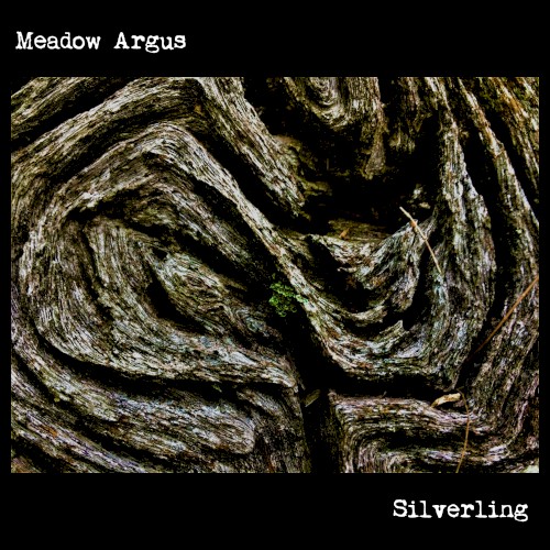 Silverling