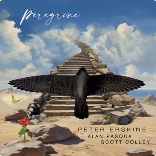 Peregrine