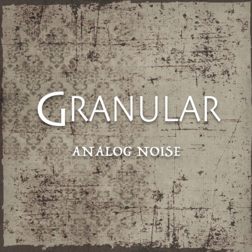 Analog Noise