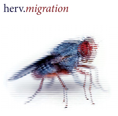 Migration