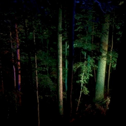 Searchlight Casting