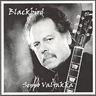Blackbird