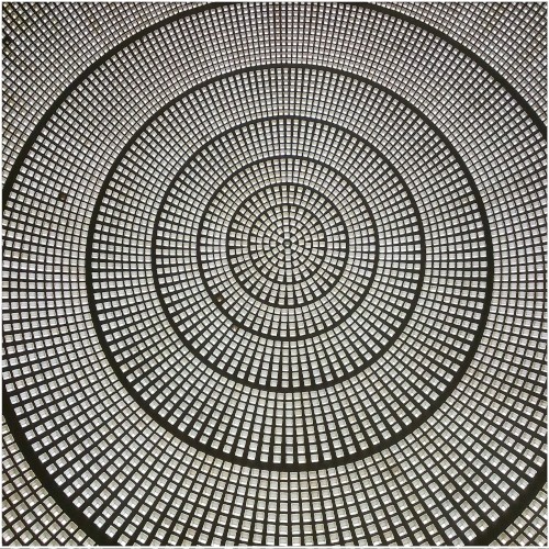 Untitled (2025)