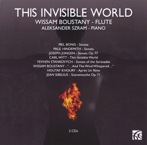This Invisible World