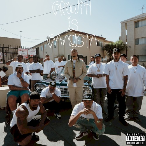 Growth Is Gangsta