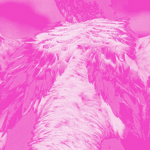 A Field Guide to Phantasmic Birds