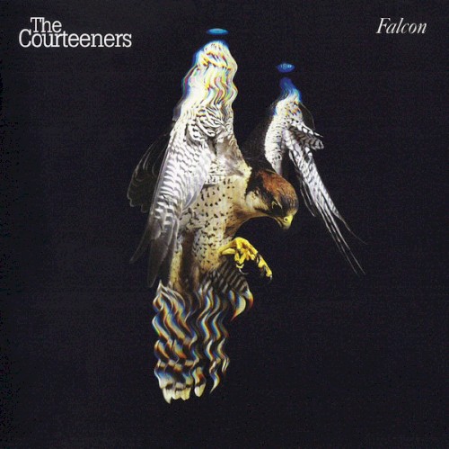 Falcon