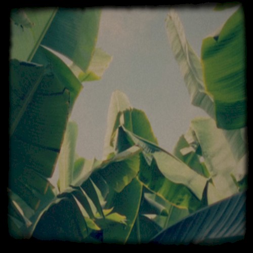 Plátano Tapes