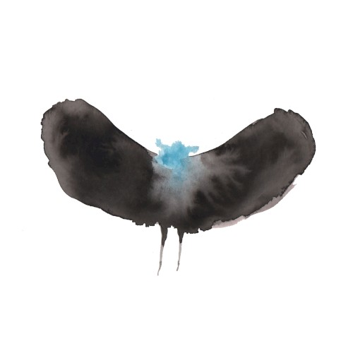 HAYWARDxDÄLEK