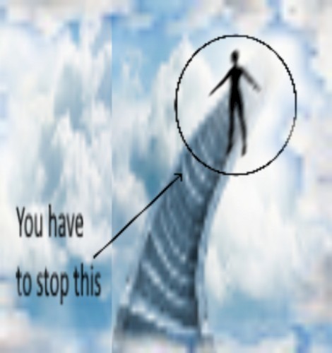 0000000000000000000000025