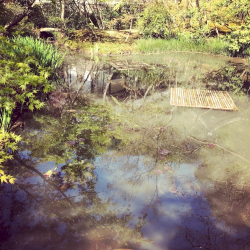 Solitude