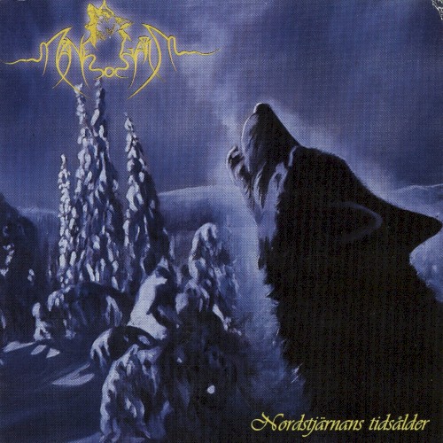 Nordstjärnans tidsålder