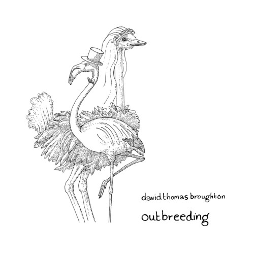 Outbreeding