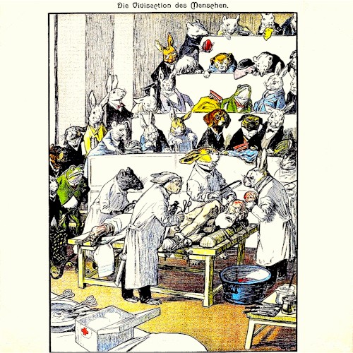 Die vivisection des menschen