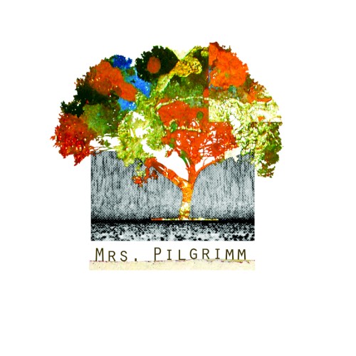 Mrs Pilgrimm