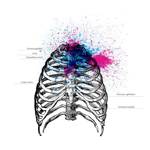 70 cm³ of Your Chest